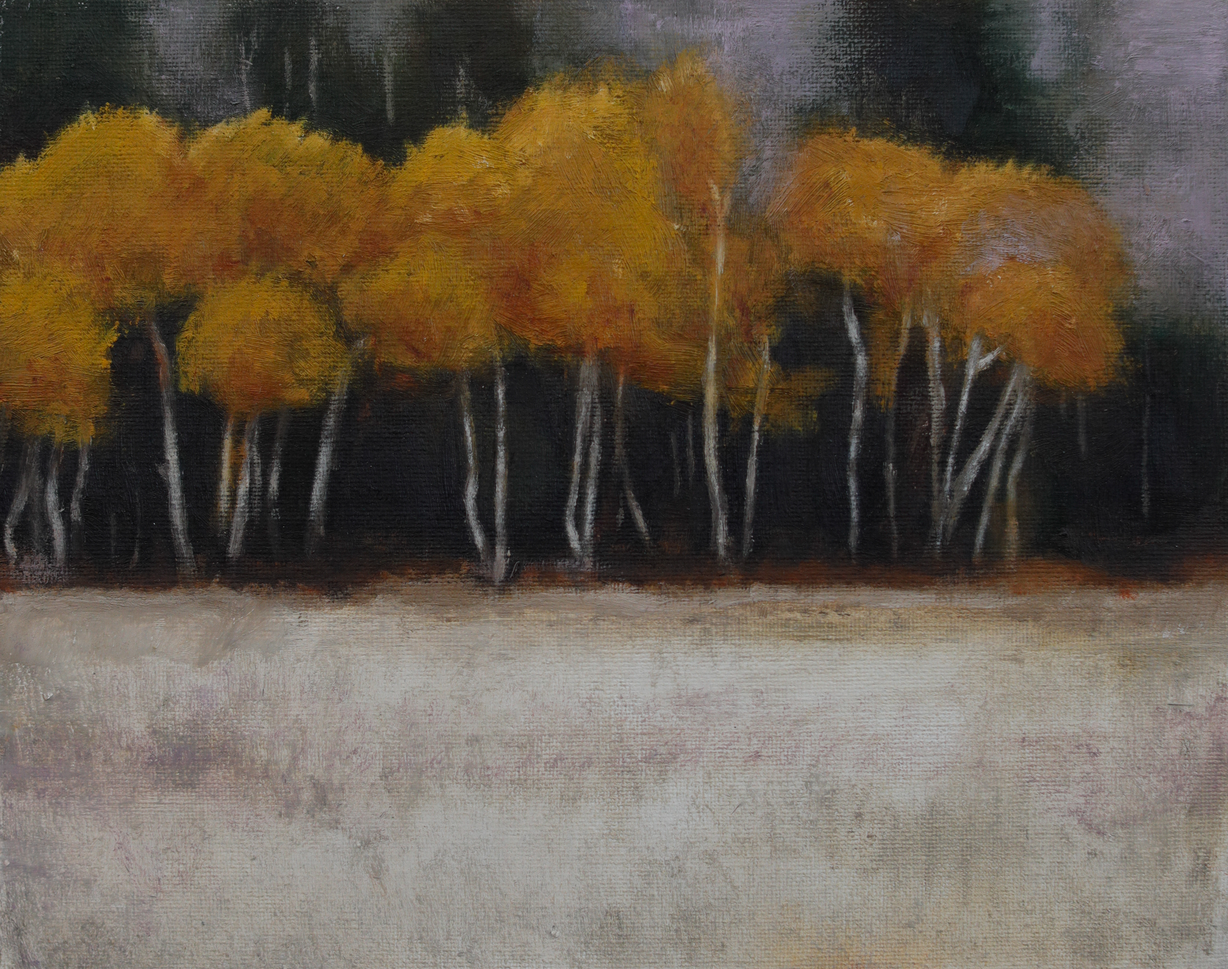 Autumn aspens by Madisen Zimmer