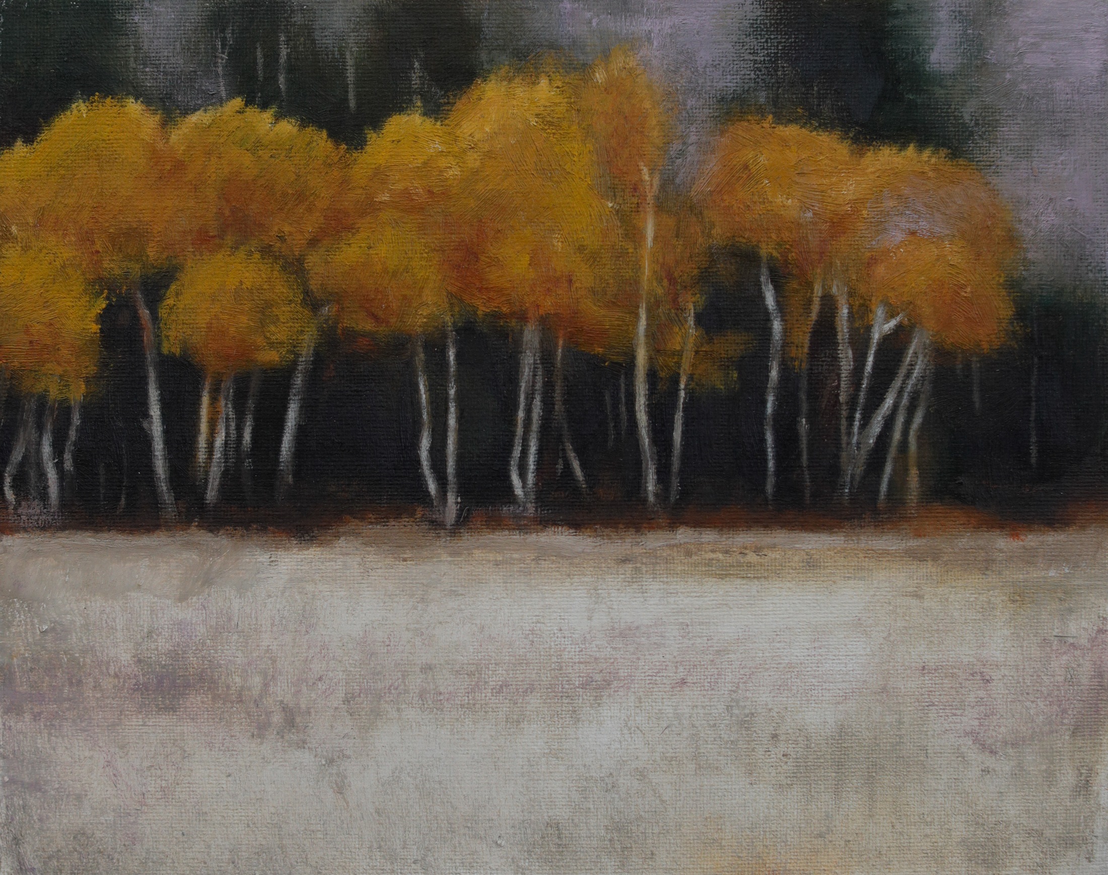 Autumn aspens by Madisen Zimmer